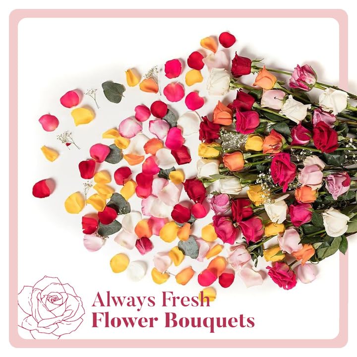 Fresh Flowers Delivery - Next-Day Delivery - 24 Assorted Roses - Flower Fresh Bouquet - Fresh Cut Long Stem Roses Bouquet of Flowers Birthday Gifts for Women -Aquarossa Farms