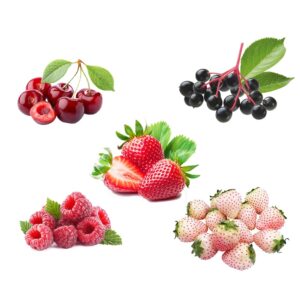 710+ Dwarf Fruit Seeds for Planting (Individually Packaged) Cherries 10pcs White Strawberry 200pcs Red Strawberry 200pcs Raspberry 200pcs Elderberry 100pcs