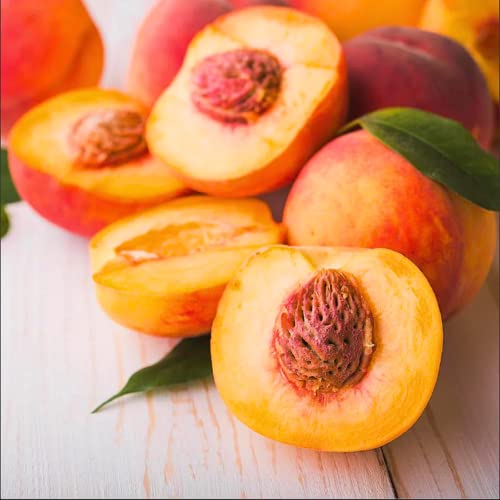 CHUXAY GARDEN Contender Peach Tree Seed 5 Seeds Edible Fresh Sweet Fruit Non-GMO Dwarf Peach Trees High Yield Flourishing