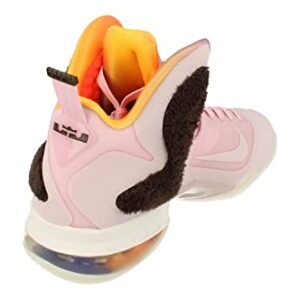 Nike Lebron IX Regal Pink/Multicolor/Velvet Brown 10 D (M)