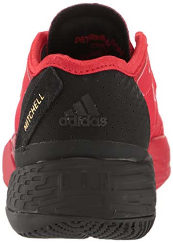 adidas D.O.N. Issue 4 Basketball Shoe, Vivid Red/Black/Team Victory Red, 5.5 US Unisex Big Kid