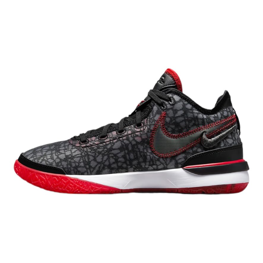 Nike Lebron 20 XX Men's Basketball Shoe Black/White-Red DR8784-001 12