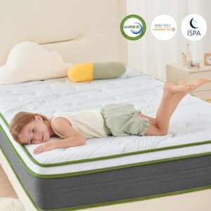 Novilla Twin XL Size Mattress, 10 Inch Hybrid Mattress in a Box with Individually Wrapped Pocket Coils & Memory Foam, Supportive & Pressure Relief, Breathable Mattresses Twin XL,Medium Firm, vigour