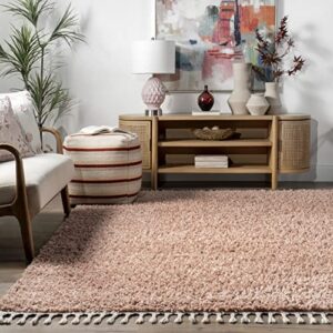 nuLOOM Neva Modern Tasseled Shag Area Rug, 8x11, Pink