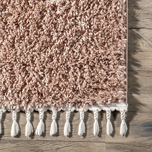 nuLOOM Neva Modern Tasseled Shag Area Rug, 8x11, Pink