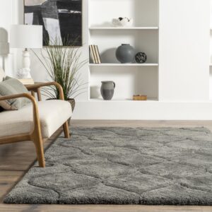 nuLOOM Elsie Contemporary Shag Area Rug, 8x10, Dark Grey