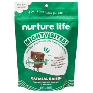 Nurture Life Mighty Bites - Oatmeal Raisin - Healthy Snacks for Kids & Toddlers Made with Oats, Sunflower Seed Butter, Chia Seeds, Dates, and Raisins - Plant-Based, High Fiber, Low Sugar - 15 Pieces (Pack of 1)