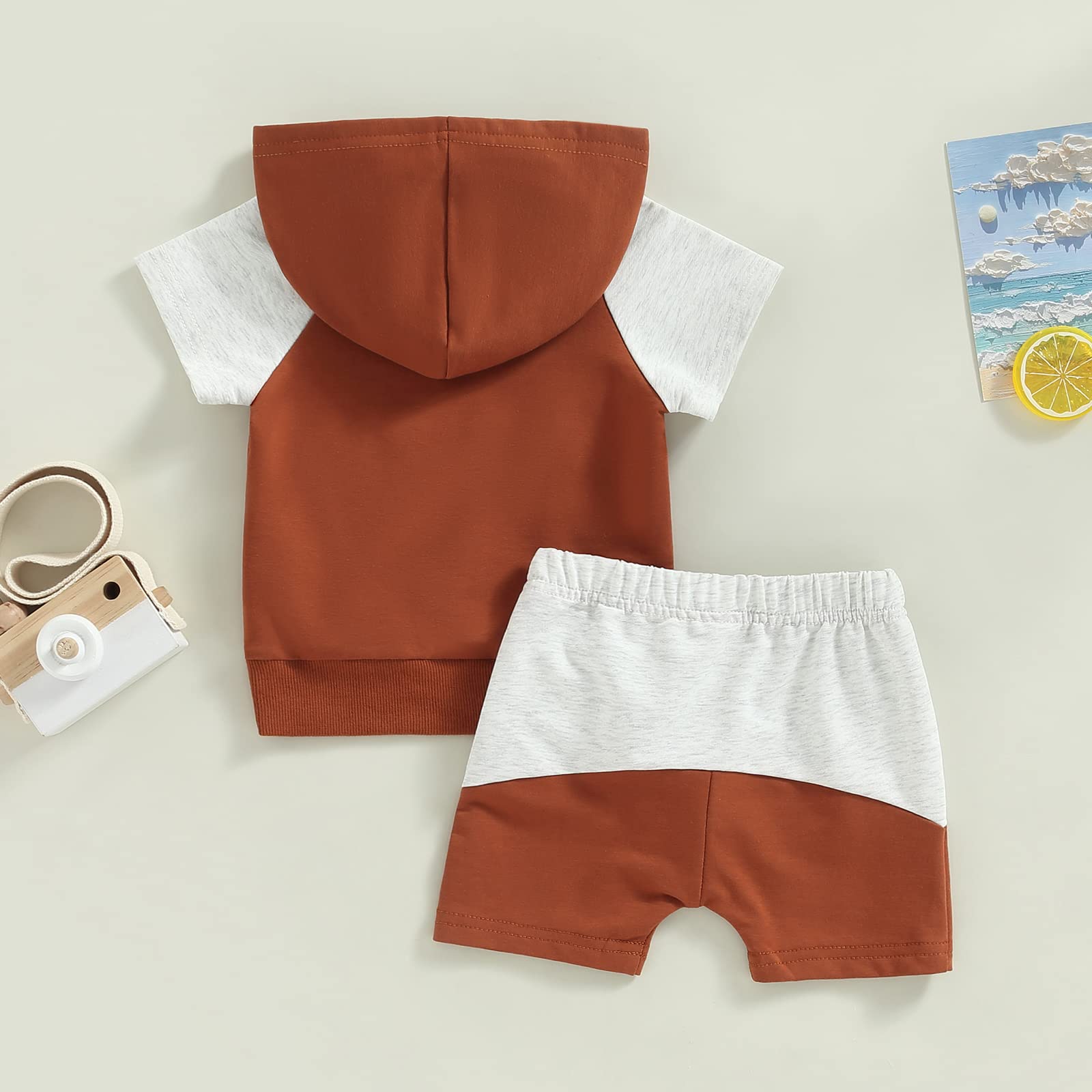 Baby Boy Clothes Summer Short Sleeve/Sleeveless Hoodie T-shirt Tops Casual Shorts Set Toddler Boy 2Pcs Outfits (F-Burnt Sugar, 12-18 Months)