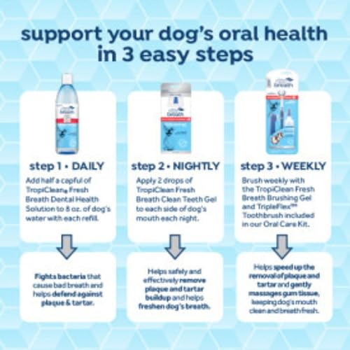 Fresh Breath Certified Wellness Collection Vet Recommended Peanut Butter Oral Care Clean Teeth Gel for Dogs, 4oz - Removes Plaque & Tartar - Cleans Teeth - Dog Dental Care - No Brushing Required