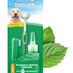 TropiClean Fresh Breath Dog Oral Care Kit | Complete Dog Toothbrush and Toothpaste Set for Plaque & Tartar Control | Dog Tooth Brushing Kit for Large Dogs