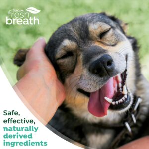 TropiClean Fresh Breath Dog Oral Care Kit | Complete Dog Toothbrush and Toothpaste Set for Plaque & Tartar Control | Dog Tooth Brushing Kit for Large Dogs