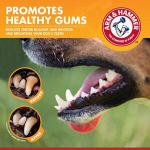 Arm & Hammer for Pets Clinical Care Dental Gum Health Enzymatic Toothpaste for Dogs | Soothes Inflamed Gums | Dog Toothpaste is Safe for All Dogs and Puppies, Beef Flavor, 2.5 Ounces