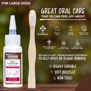 TropiClean Enticers Teeth Cleaning Gel & Toothbrush for Large Dogs | Hickory Smoked Bacon Flavor | Bamboo Brush Speeds Up Plaque Removal | Gel Helps Fight Bad Breath | 2 oz