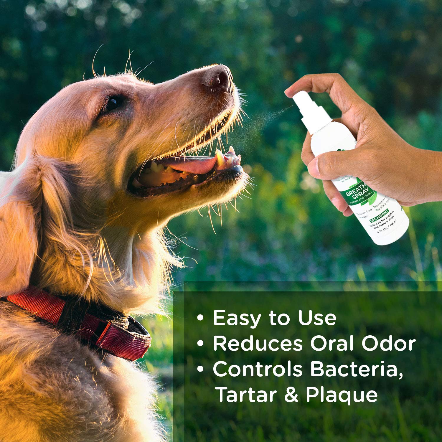 Lillian Ruff Dog Breath Freshener Dental Care Spray - Dog Oral Health Teeth Cleaning Formula Targets Bad Dog Breath, Plaque & Tartar Build-Up, Supports Oral Care, Gum Health & Immune System (4oz)