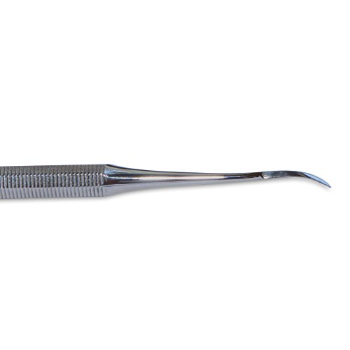 Mars Stainless Steel Single End Tooth Scaler for Dogs and Cats, Big Bow End, Professional Dental Grade