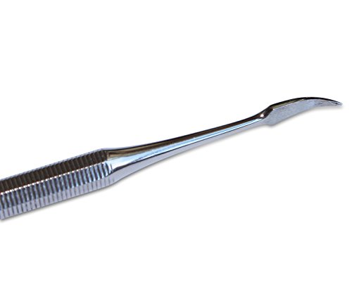 Mars Stainless Steel Single End Tooth Scaler for Dogs and Cats, Big Bow End, Professional Dental Grade