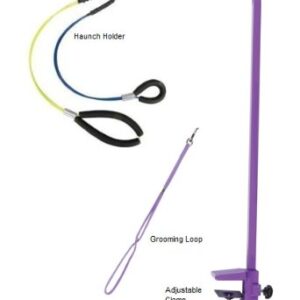 Downtown Pet Supply Dog Grooming Arm with Clamp and Grooming Loop, 2 Haunch, Purple - Adjustable, Steel Grooming Table Arm with Table Clamp, No Sit Haunch Holder Dog Grooming Restraint and Loop