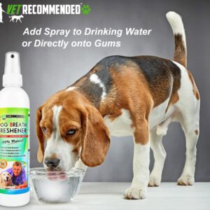 Vet Recommended - Dog Breath Freshener & Pet Dental Water Additive (8oz/240ml) All Natural - Perfect for Bad Dog Breath & Dog Teeth Spray. Spray in Mouth or Add to Pet's Drinking Water. USA Made.