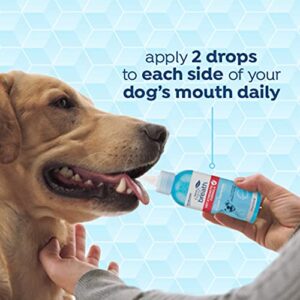 Fresh Breath Certified Wellness Collection Vet Strength Oral Care Clean Teeth Gel, 4oz - Freshens Dog Breath - Removes Plaque & Tartar - Cleans Teeth - Dog Dental Care - No Brushing Required