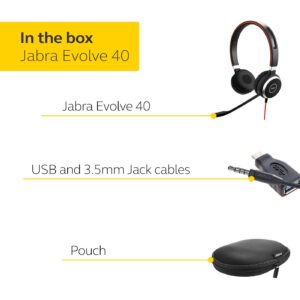 Jabra Evolve 40 MS Stereo USB-C Wired Headset