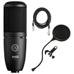 AKG Perception 120 Large Diaphragm Condenser Microphone w/Planet Waves 10' Mic Cable and Pop Filter