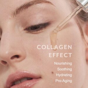 MIZON Collagen 100, Collagen Ampoule, Anti-wrinkle, Moisturizing, Skin Elasticity, Lifting Formula (30 ml 1.01 fl oz)