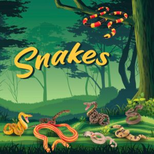 Toymany 8PCS Snake Figures Safari Animal Figurines, Realistic Jungle Animals Toy Set Halloween Fake Snake with Cobra Python Figure, Prank Props Scary Snake Christmas Birthday Tricky Toy Party Favor