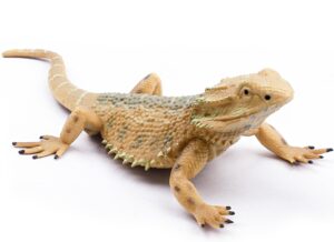 rismise lizard figurine toys lizard animals figures lizard toys plastic lizard model bearded dragon animal figurines for cake decoration educational toys gecko animal trick reptile prank props