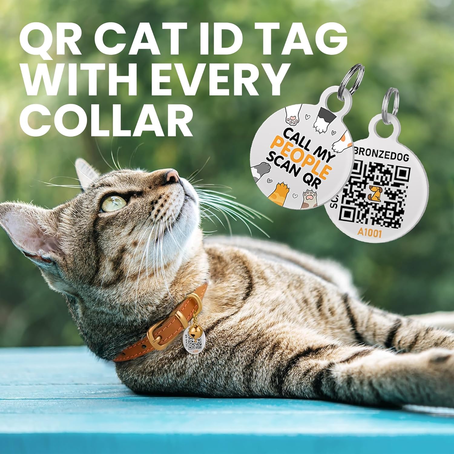 BRONZEDOG Leather Cat Collar with Bell Non Breakaway Kitten QR Tag for Girl Boy (7" - 9" for Cats, Orange & Silver)