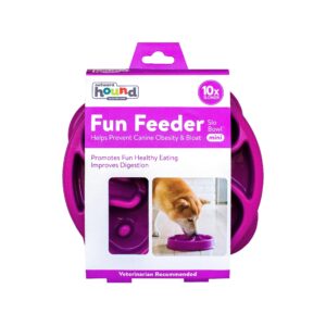 Outward Hound Fun Feeder Slo Bowl, Slow Feeder Dog Bowl, Medium/Mini, Purple