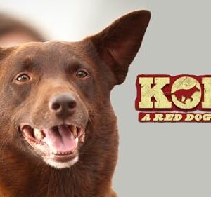 Koko: A Red Dog Story