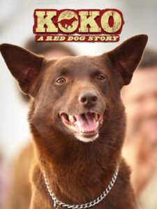 koko: a red dog story