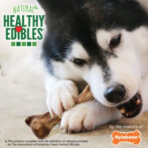 Nylabone Healthy Edibles WILD Natural Long-Lasting Bison Flavor Bone Chew Treats for Dogs, Large (1 Count)