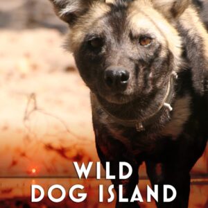 Wild Dog Island