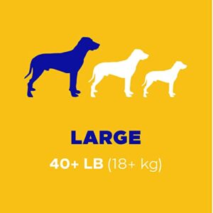 PEDIGREE DENTASTIX Large Dog Dental Treats Beef Flavor Dental Bones, 1.72 lb. Pack (32 Treats)