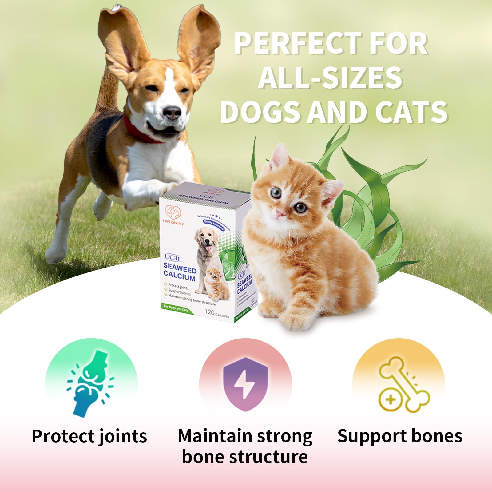 Love Can Fly Dog and Cat Joint Protection and Bone Health - Patented UC-II & Seaweed Calcium/Natural Anti-Inflammatory/Maintain Strong Bone Structure/Enhanced Nutrition - 120 Capsules