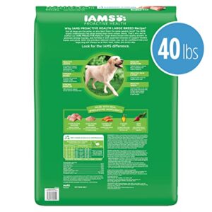 IAMS Adult High Protein Large Breed Dry Dog Food with Real Chicken, 40 lb. Bag