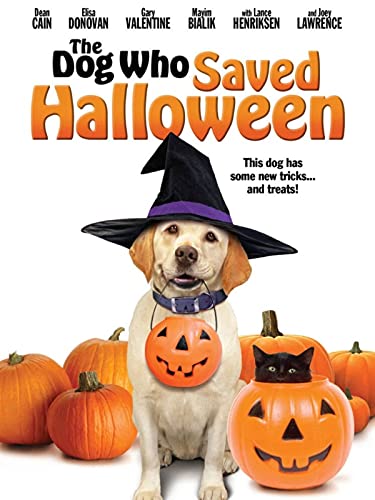 The Dog Who Saved Halloween