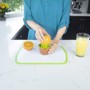 Joie Cactus-Themed Squeeze & Pour Manual Citrus Juicer