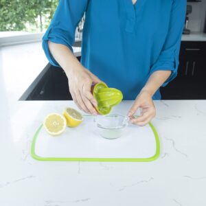 Joie Cactus-Themed Squeeze & Pour Manual Citrus Juicer