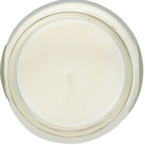 Premium 100% Soy Tureen Candle - 3 oz.- Grapefruit: A True-to-Life Blend of ripe, Tangy Grapefruit ; an Exotic Fruit That is citrusy.