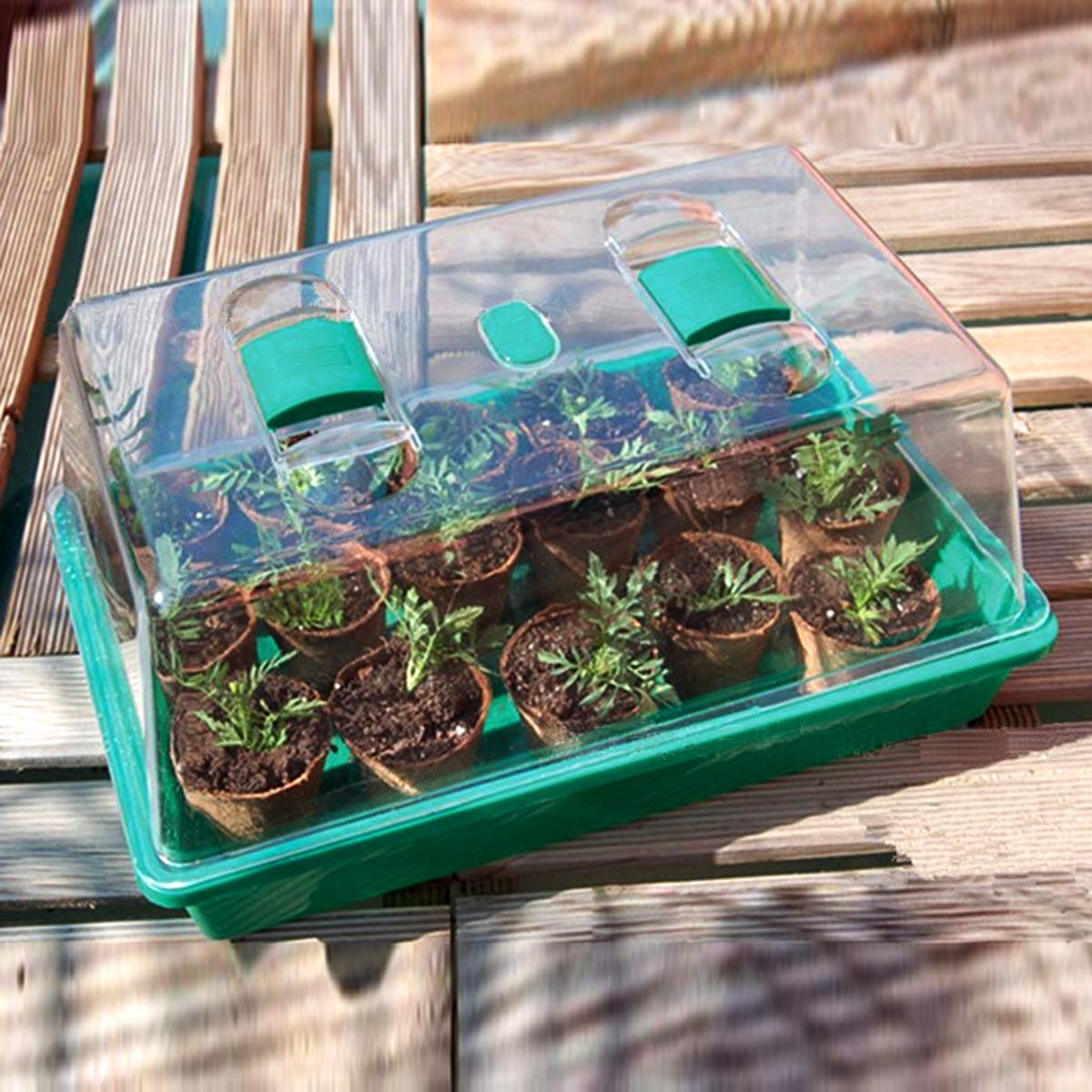 Propagator with Humidity Vents Domes,Heavy Duty Growing Tray Mini Greenhouse for Seedlings,Clones