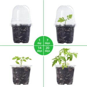 Bonviee 30 Sets Plant Nursery Pots with Humidity Domes, 4 Inch Clear Nursery Pots (30 Pots + 30 Clear Lids), Seed Starter Pots Small Planter Containers with Drain Holes with 10 Plant Labels- Clear