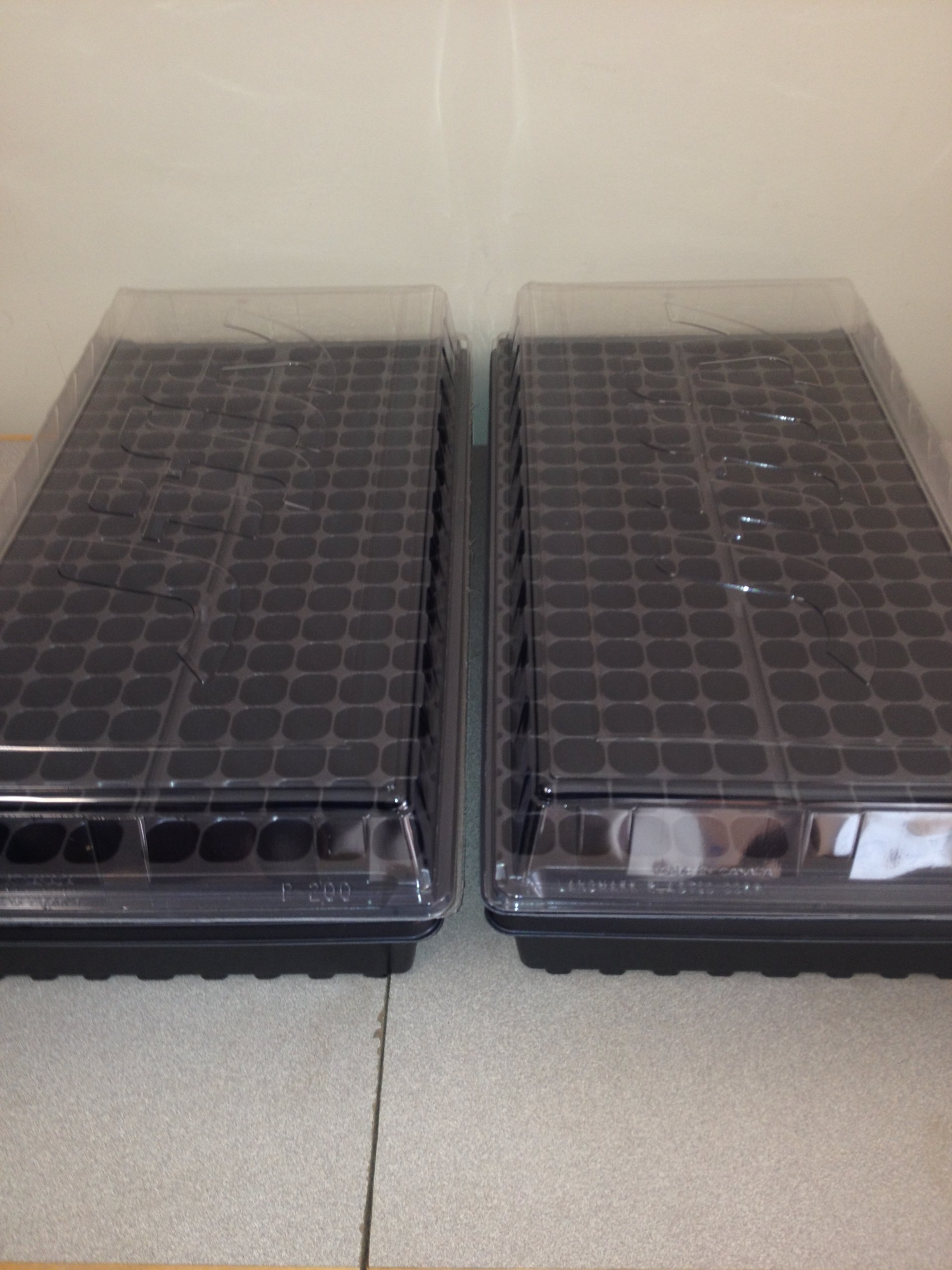 Seed Starting Kit (2ea) Seed Trays, 200 Cell Plug Trays, Humidity Dome Lids, Cloning