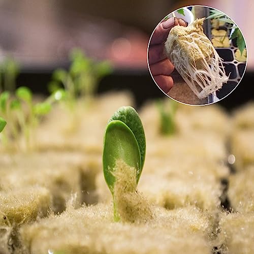 Halatool 1 Inch Rockwool Cubes Garden Rock Wool Stonewool Grow Cubes Starter Plugs for Hydroponics Soilless Cultivation Seedlings Cuttings Clone Plants Germination Start (2 Sheets, 100 Plugs in Total)