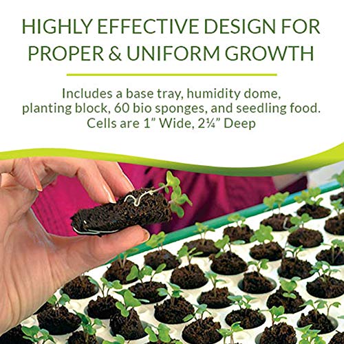 Park Seed Bio Dome Seed Starter Kit with 60 Cell Planting Block, Base Tray, Humidity Dome & 60 Bio Sponges