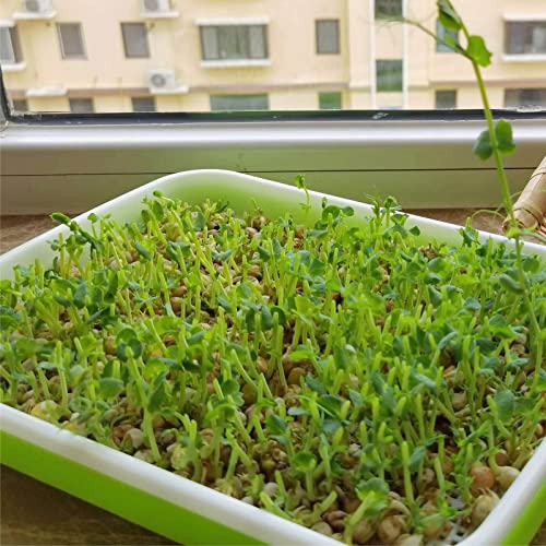 Seed Sprouter Trays 3 Packs , Microgreens Growing Trays Nursery Tray Bean Sprouts Sprouting Container Kit with Lid Wheatgrass Cat Grass Seedling Planting Storaging Trays for Garden Home Office