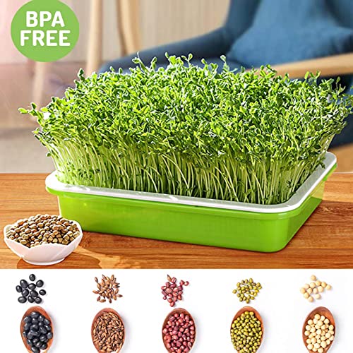 Seed Sprouter Trays 3 Packs , Microgreens Growing Trays Nursery Tray Bean Sprouts Sprouting Container Kit with Lid Wheatgrass Cat Grass Seedling Planting Storaging Trays for Garden Home Office