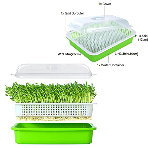 Seed Sprouter Trays 3 Packs , Microgreens Growing Trays Nursery Tray Bean Sprouts Sprouting Container Kit with Lid Wheatgrass Cat Grass Seedling Planting Storaging Trays for Garden Home Office