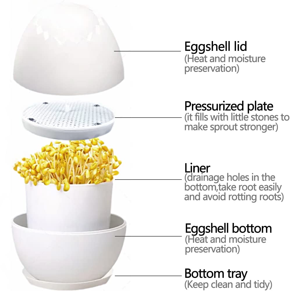 LeJoy Garden Seed Sprouter,Egg Shaped Germination Pot,BPA Free Soil-Free Healthy Wheatgrass Grower with Lid,Cretive Design Sprouting Kit